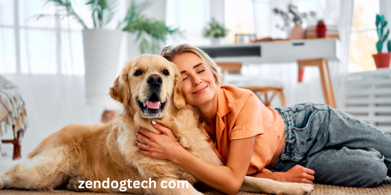 ZendogTech com: Expert Tech Insights and Smart Pet Care Guides
